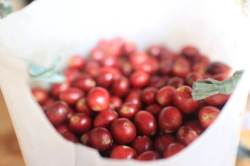 12248210_10207453714043313_5610582460074264729_o